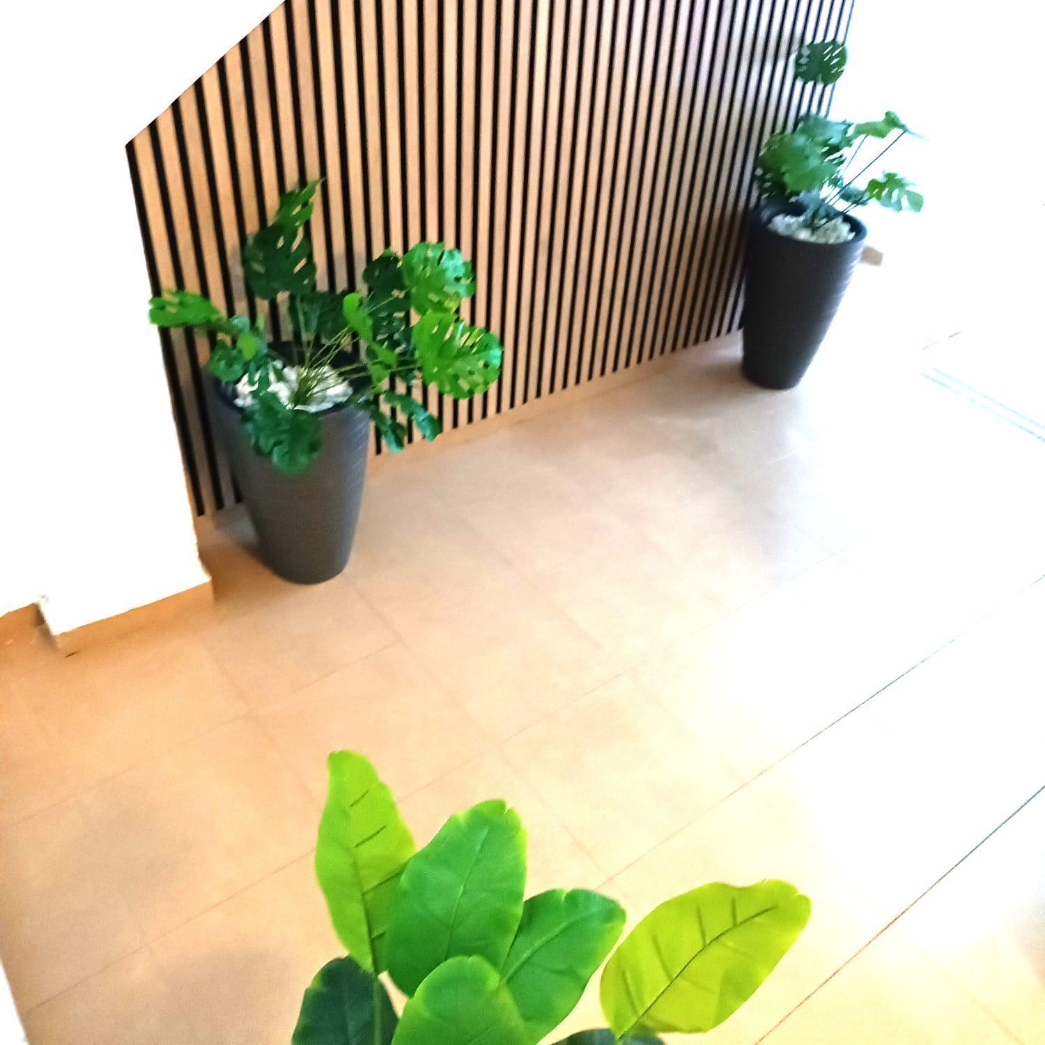 Apartamentos Calle Nueva Málaga Kültér fotó