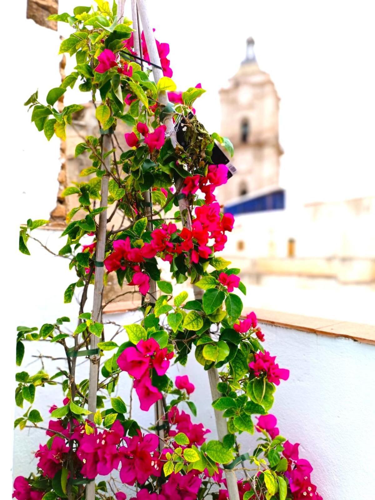 Apartamentos Calle Nueva Málaga Kültér fotó